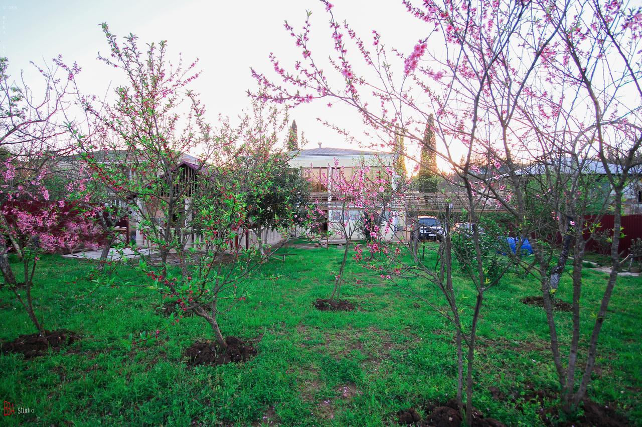 Green Garden Guest House 茨卡尔图博 外观 照片